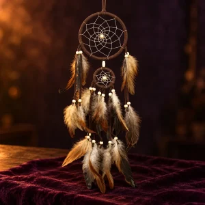 Attrape-Rêves Indien à Plumes Marron en Fil de Coton